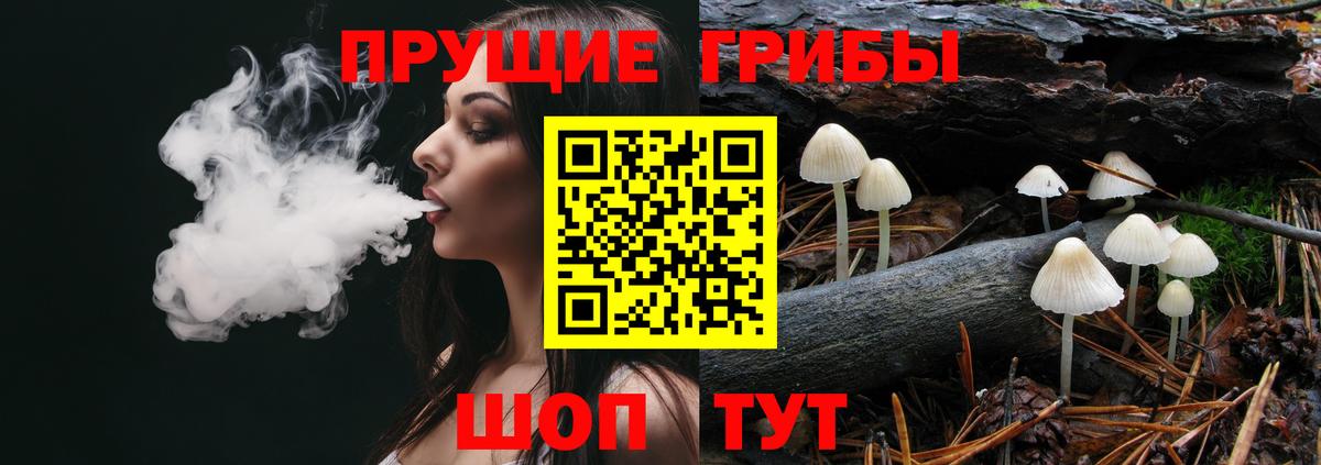 цена наркотик  Псилоцибиновые грибы MAGIC MUSHROOMS  Ирбит  Вход с VPN  Галлюциногенные грибы Cubensis 