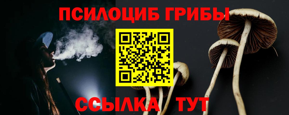 Псилоцибиновые грибы Cubensis Ирбит